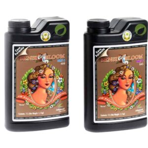 AN sensi Bloom Coco A+B