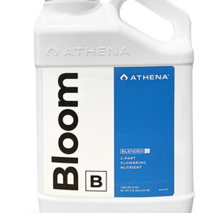ATHENA Blended Line Bloom B 3.8L